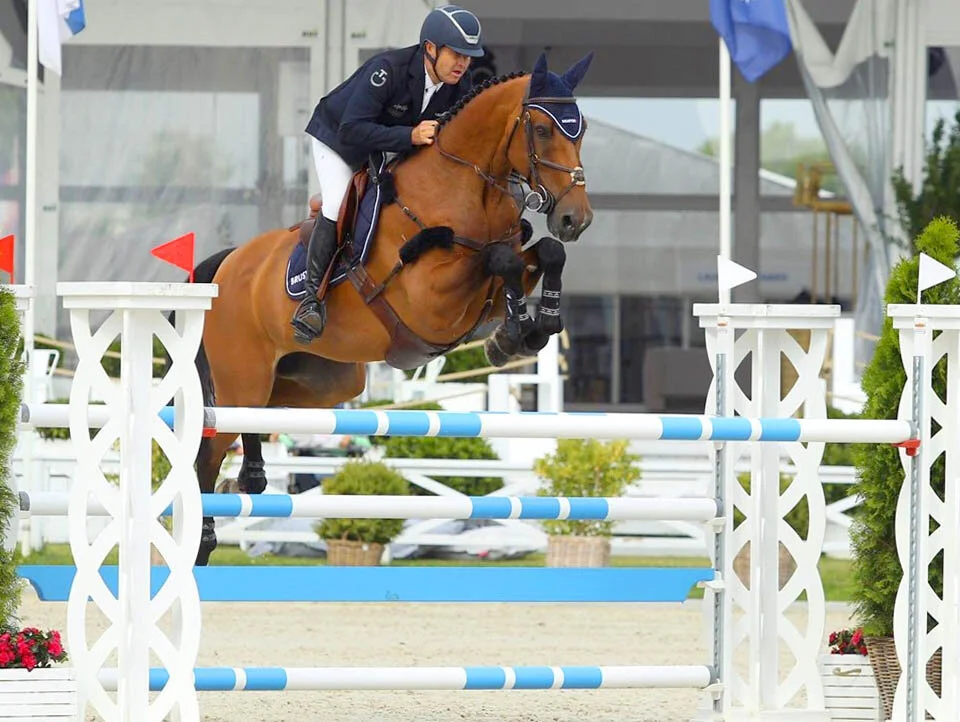 Eldorrado MVNZ — Mount View Sport Horses